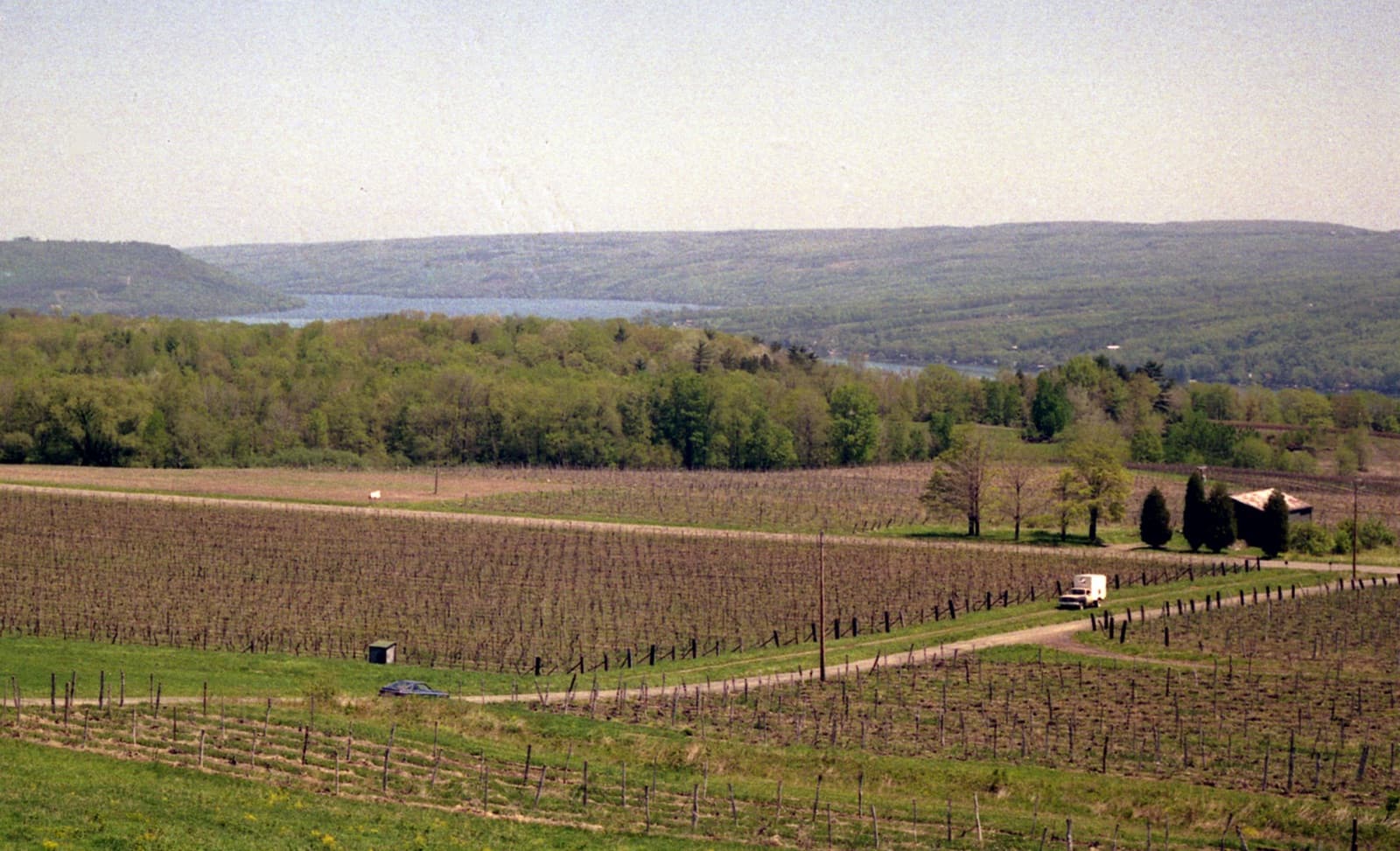 How Harmful Algal Blooms Threaten the Finger Lakes