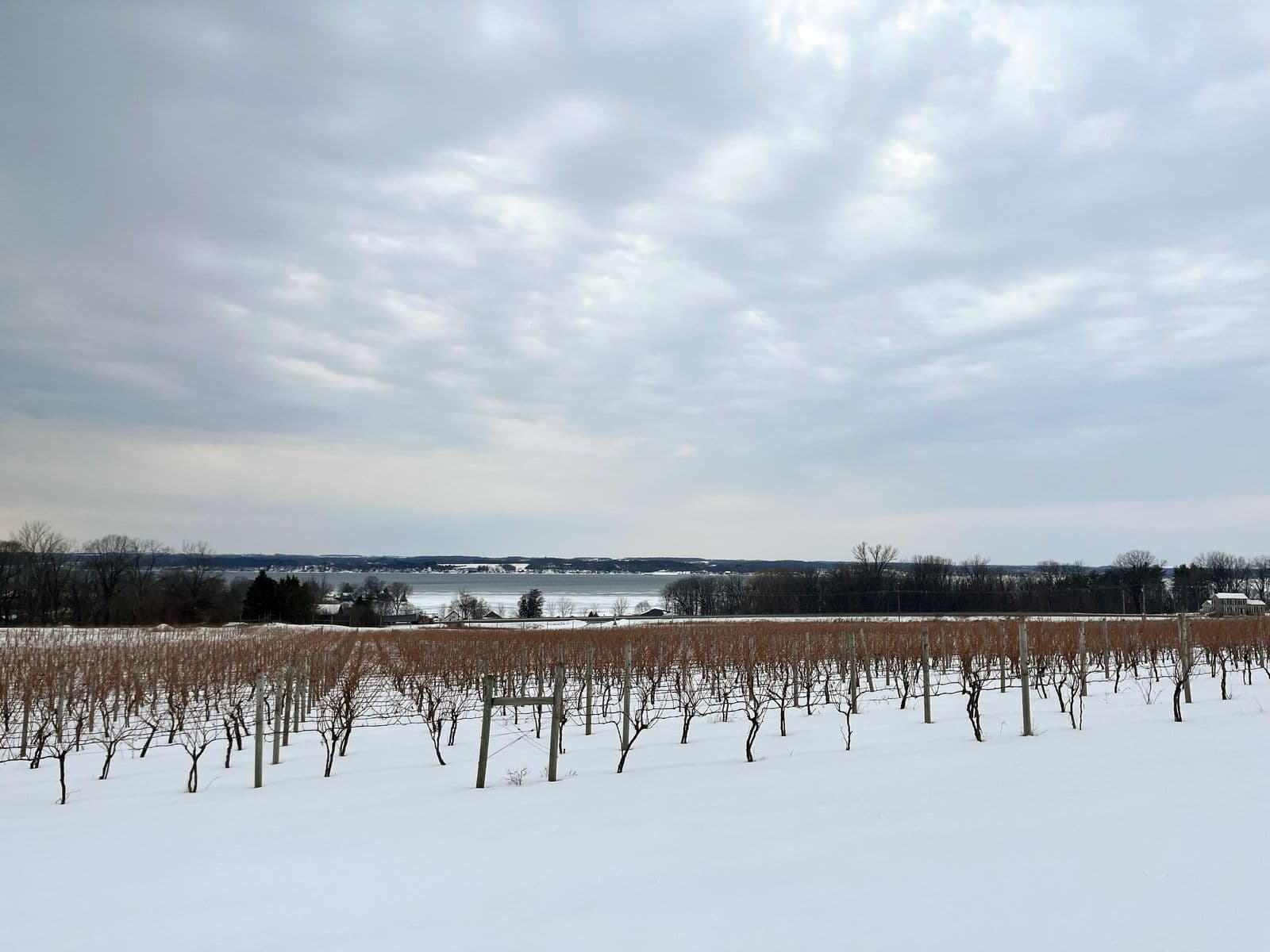 Back-to-Back Winter Storms Close 24 FLX Tasting Rooms