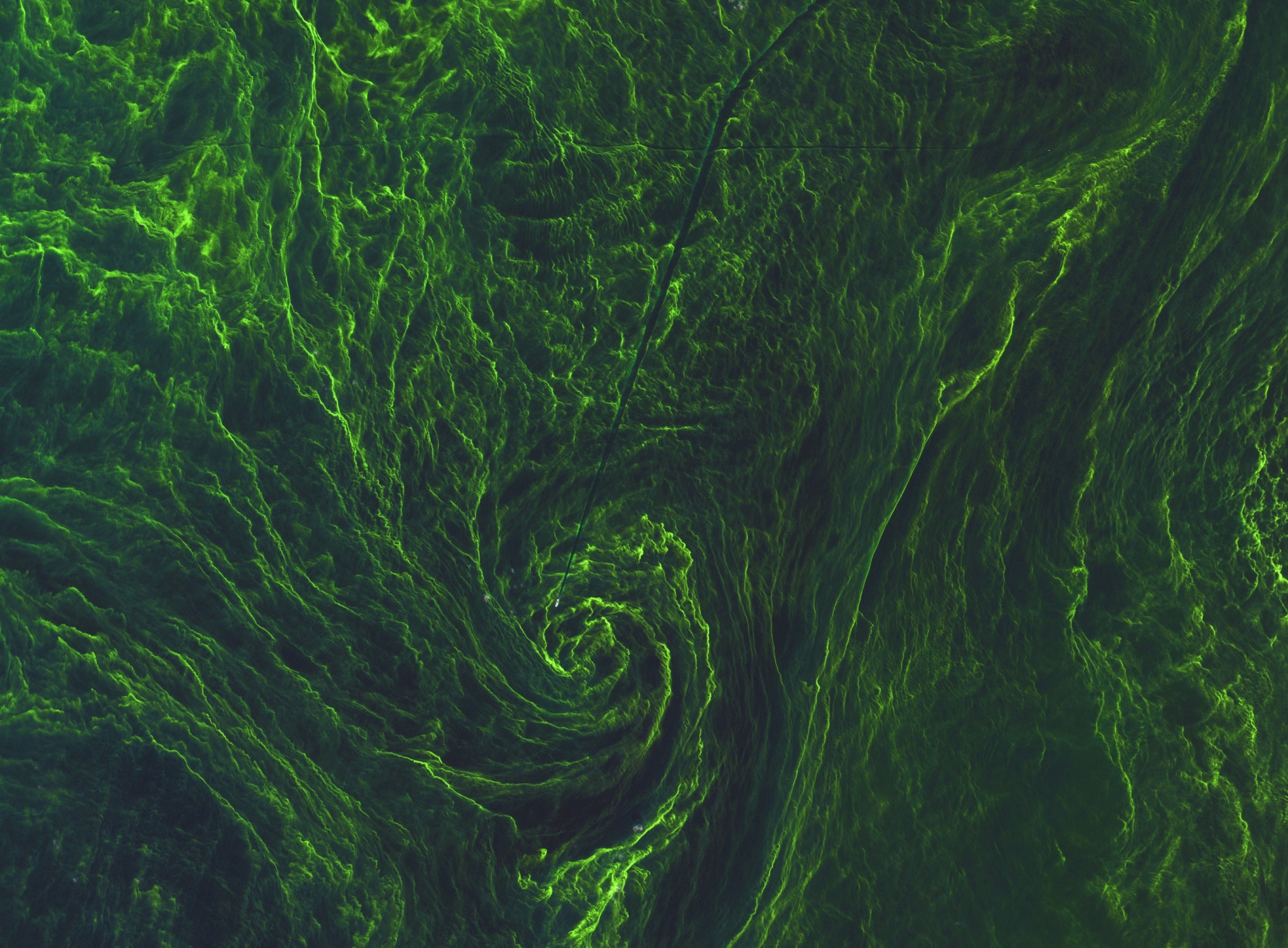 Satellite imagery reveals the scale of algal blooms