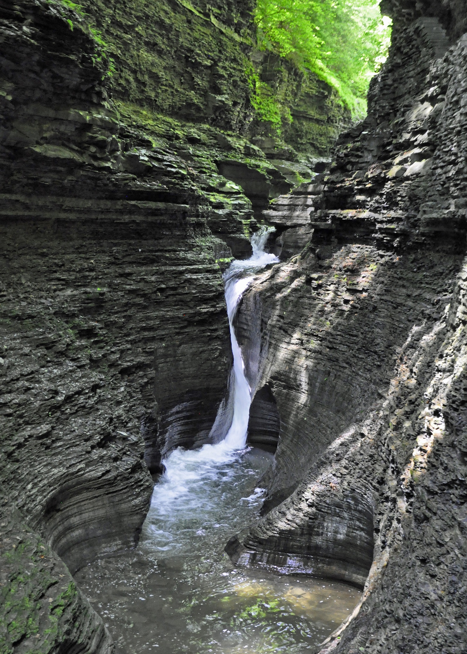 Watkins Glen gorge showing the dramatic geological formations