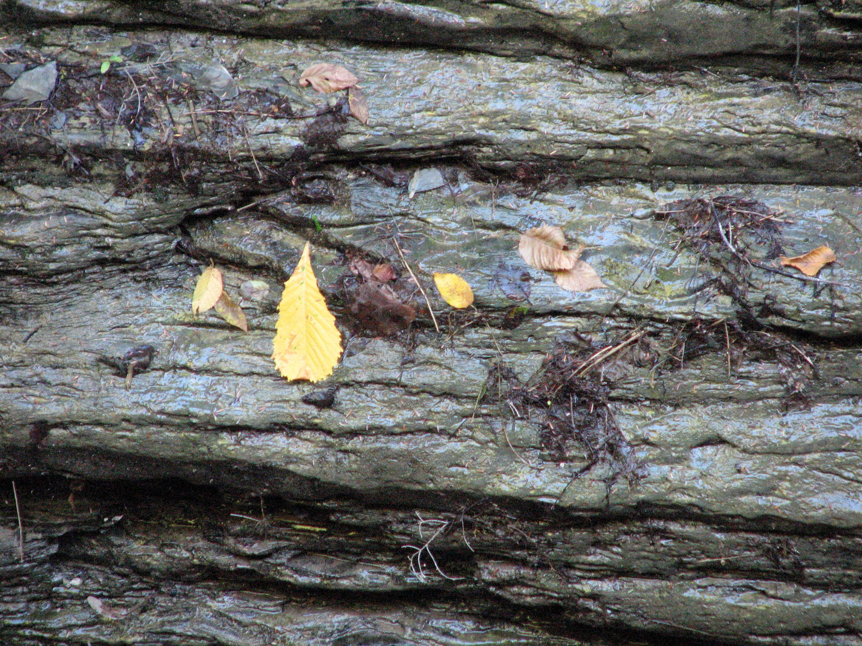 Rock layers visible in the gorge walls